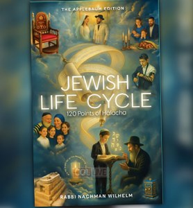 Picture of Jewish Life Cycle 120 Points of Halacha [Hardcover]